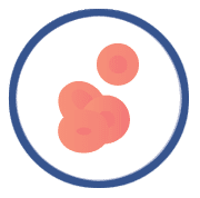 icono hematologia